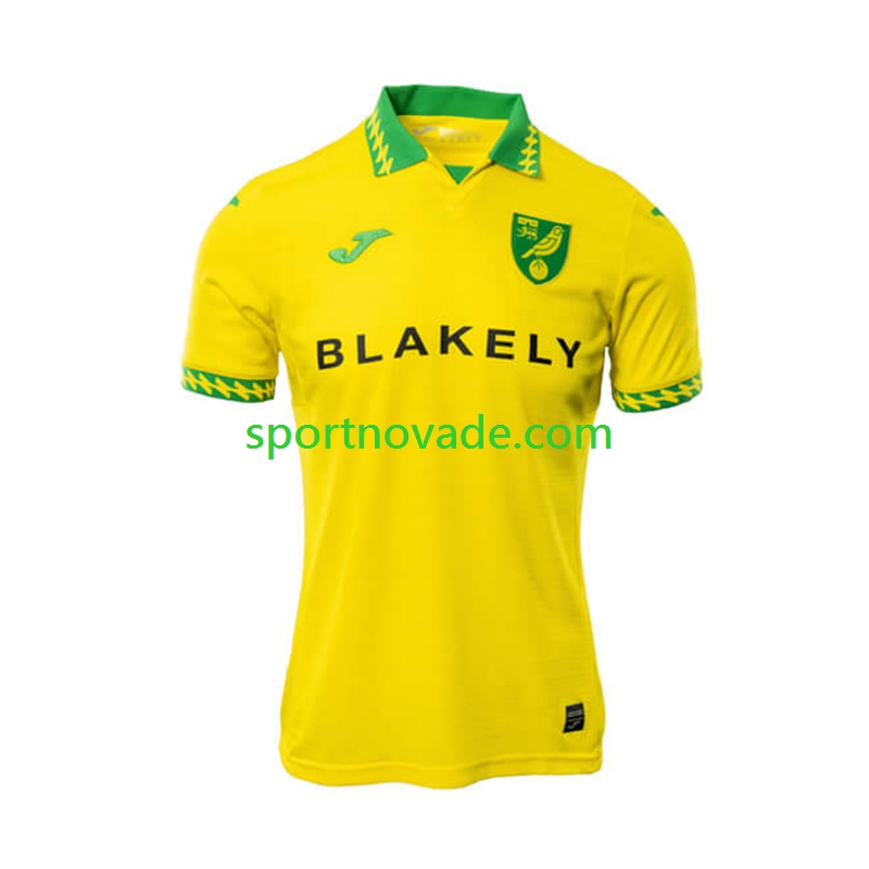 Norwich City Heim Trikot Herren Kurzarm 2025-2026